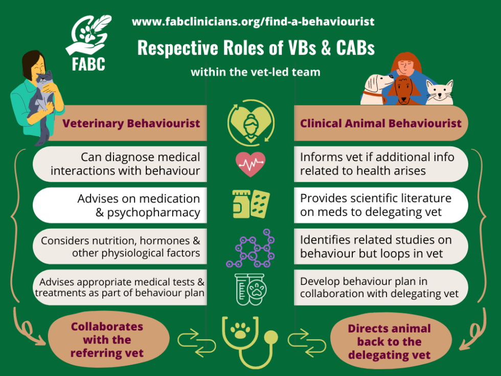 Vet FAQ FAB Clinicians